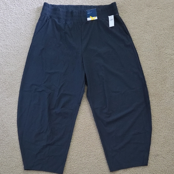 Blue Cropped Pants - Picture 1 of 3